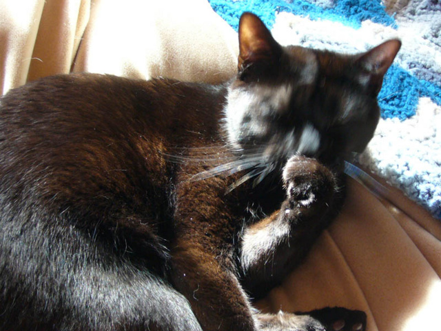 P1000155_2.jpg