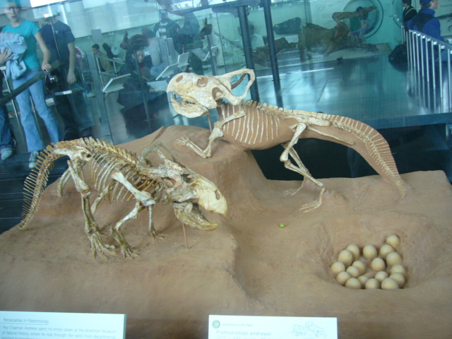 P1000100.JPG