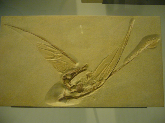 P1000102.JPG