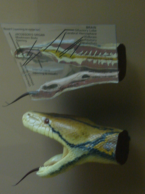 P1000109.JPG