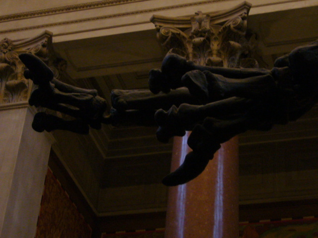 P1000121.JPG