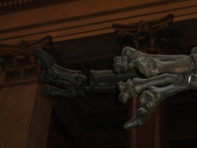 P1000122.JPG