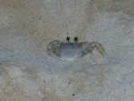 P1000298_2.jpg