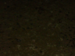 P1000310_2.jpg