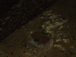 P1000312_2.jpg
