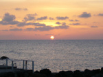 P1000224_2.jpg