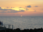 P1000229_2.jpg