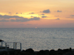 P1000230_2.jpg