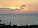 P1000231_2.jpg