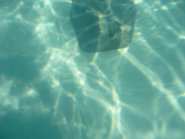 P1000196_2.jpg